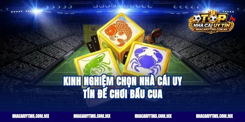 Kinh nghiệm chọn nhà cái uy tín để chơi bầu cua