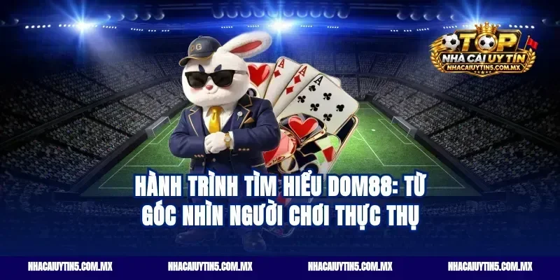 Hành trình tìm hiểu Dom88: Từ góc nhìn người chơi thực thụ