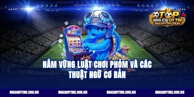 Nắm vững luật chơi phỏm và các thuật ngữ cơ bản