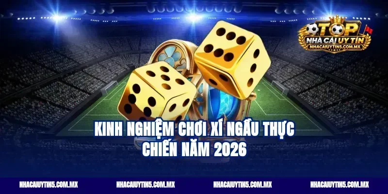 Kinh nghiệm chơi xí ngầu thực chiến năm 2026