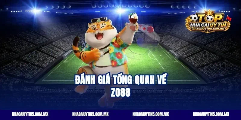 Đánh giá tổng quan về Zo88